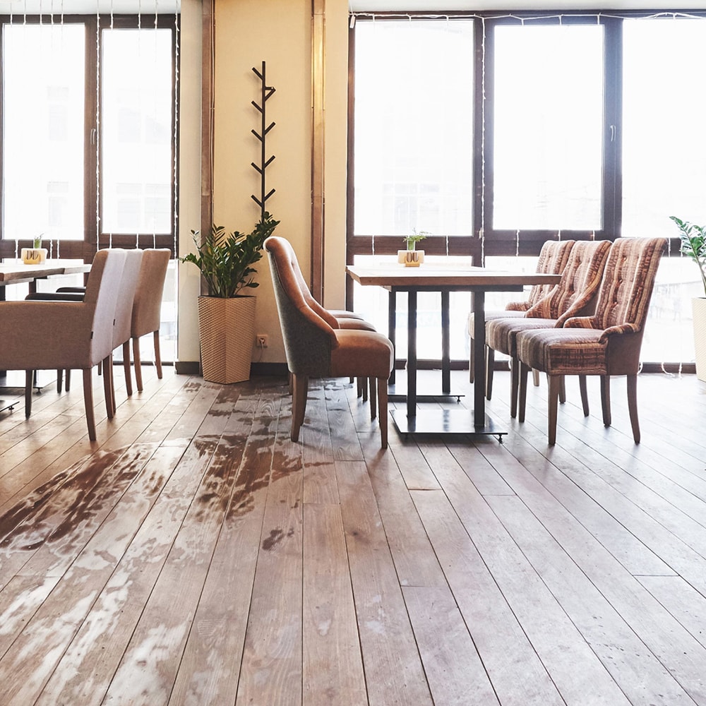 Aesthetics of Our Interior